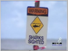 thumbs Picture 13 Shark Signs